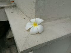 -三王纪念碑