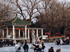 -北陵公园