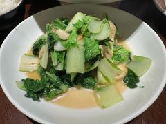 -新连采·海鲜·大连菜(大连恒隆广场店)