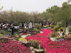 -苏州上方山国家森林公园