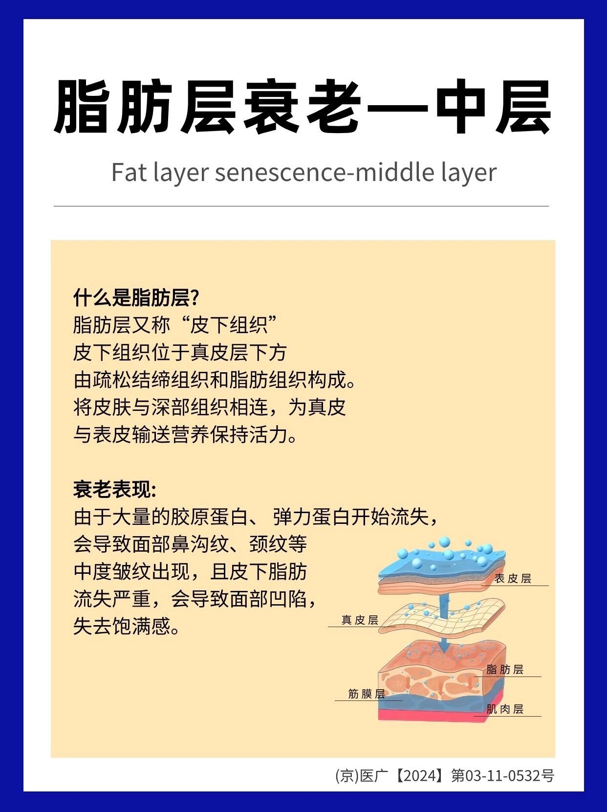 层及衰老变现
什么是脂肪层及衰老变现
什么是筋膜层及衰老变现