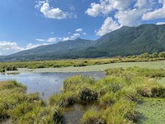 -腾冲北海湿地