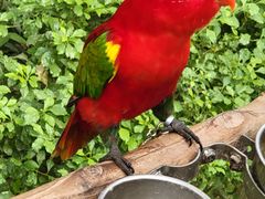 -南宫五洲植物乐园