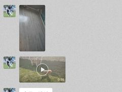 -趣玩宠物乐园寄养训犬训狗游泳池