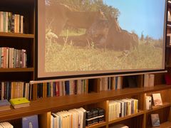 -二酉书店TOYOU BOOKS