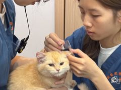 -阿荣24H宠物医院·综合型转诊中心·CT·核磁影像中心