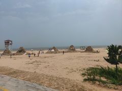 -日照海滨国家森林公园