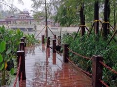 -重庆彩云湖湿地公园
