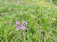 -中国天府农业博览园