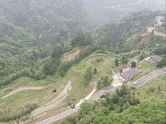 -梦幻奥陶纪景区