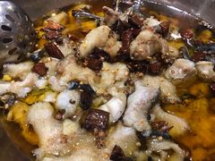 沸腾清江鱼-沸腾鱼家(大尧三路店)