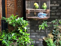 -鱼桥巷·美学川菜