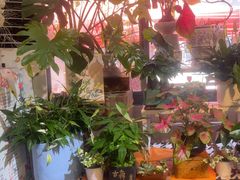 -花里花店(唐镇阳光天地店)