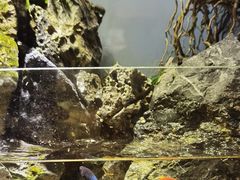 -默迹咖啡馆