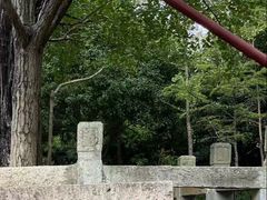 -上海佘山国家森林公园天马山园