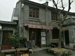 -两棵枇杷树