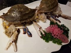 -新花城蟹粉馆(乌鲁木齐店)