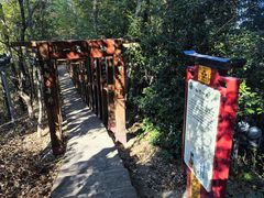 -云碧峰国家森林公园