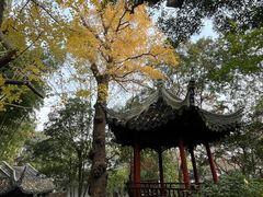 -秋霞圃