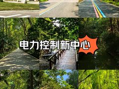 -同里国家湿地公园