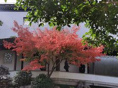 -秋霞圃