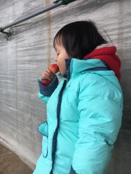 -蓝呗呗蓝莓草莓采摘园(通州区马驹桥店)