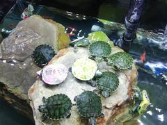 -龙达温泉生态城
