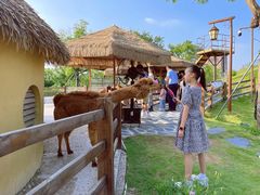 -珠海海泉湾神秘岛亲子乐园