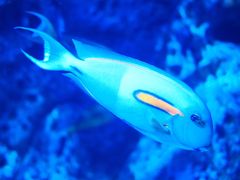 -成都浩海立方海洋公园