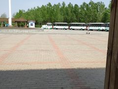 -呼兰河口湿地公园