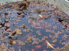 -胖子鱼·天水麻辣鱼火锅(秦州407店)