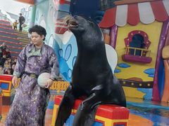 -海合安武汉极地海洋公园