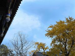 -金堂县云顶石城风景区
