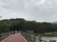 -狮山公园