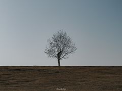 -钟山体育运动公园