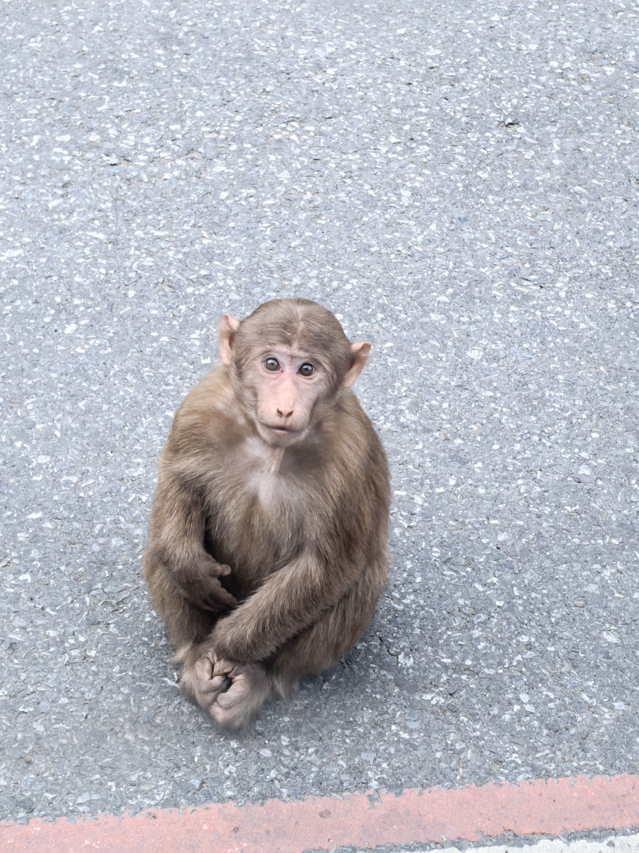 创作者赏金计划#江浙沪周边游
到皖南318川藏线自驾游,在盘山公路