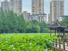 -龙头寺公园
