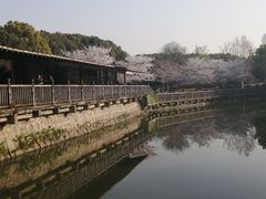 -玉山公园