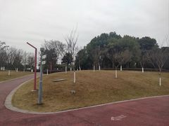 -眉山湿地公园(东坡区)