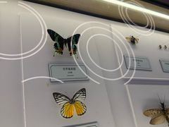 -浦乐汇·汤泉水世界