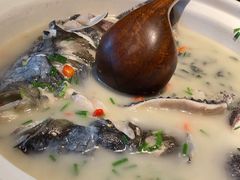 -老傅家湘潭水煮活鱼店(众一国际店)