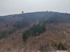 -原山国家森林公园