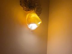 -金色莲花泰式按摩SPA(石牌店)
