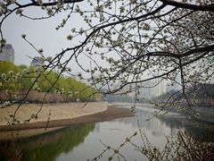 -清真·同发顺饭庄·烧麦(总店)