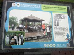 -北药泉