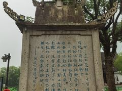 -鲁镇