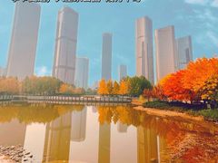 -大望京公园