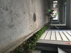 奥林匹克体育中心游泳馆-奥林匹克体育中心游泳馆