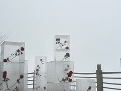 -太阳湾风景区