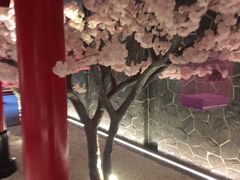 -蓝鲸湾汤泉(包河店)